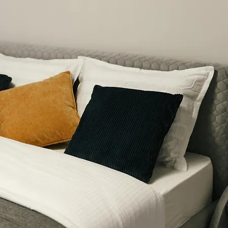 Charming, Spacious And Luxurious 2br In Center - Grandstay Apartment Chisinau